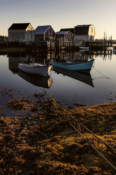 2772313 :: Morning Mooring