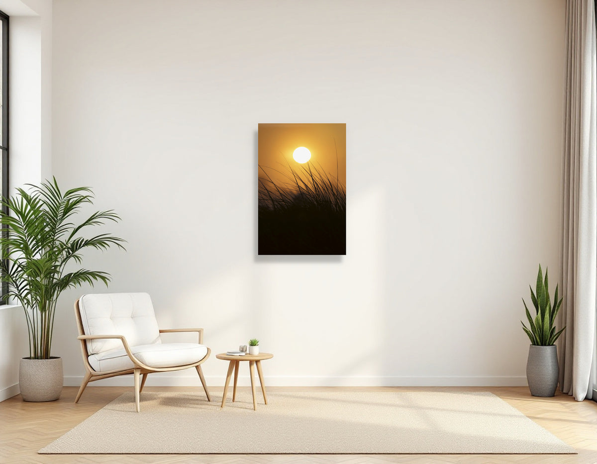 2772321 :: Sunrise Beachgrass