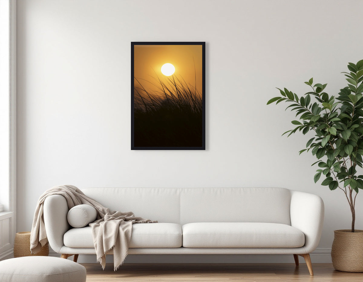 2772321 :: Sunrise Beachgrass