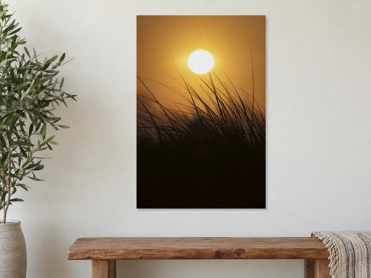 2772321 :: Sunrise Beachgrass