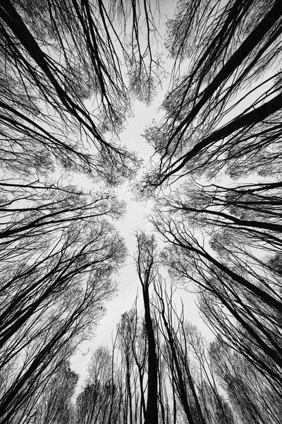 2772378 :: Converge