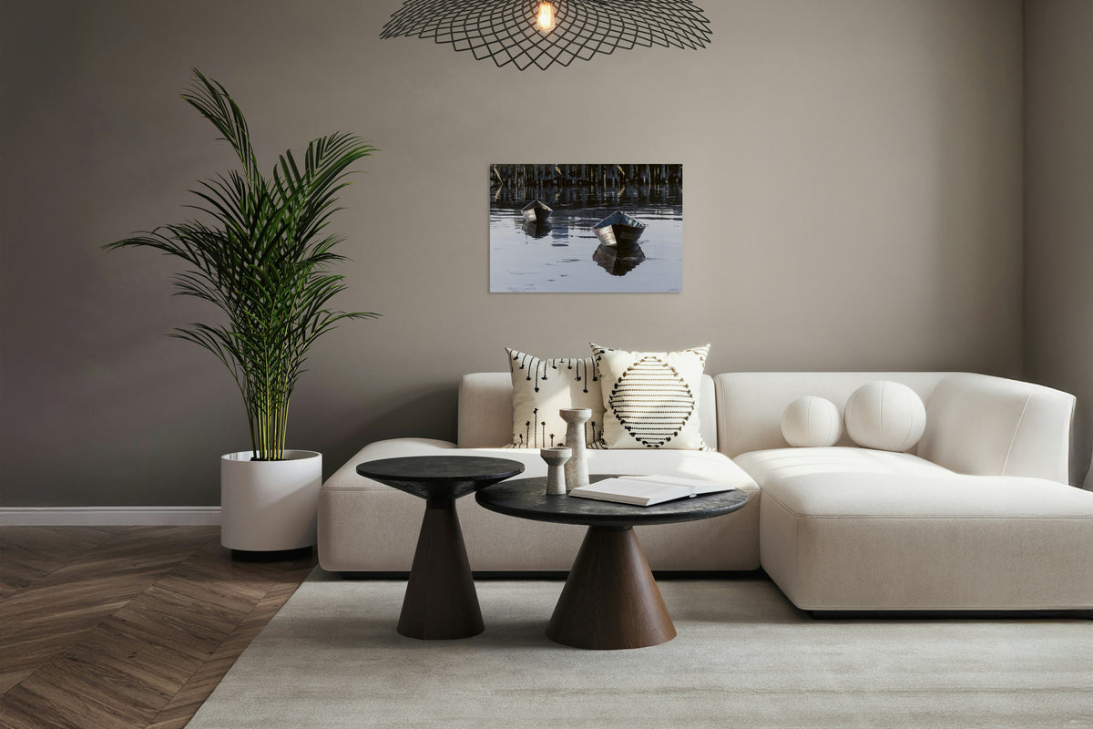 2772299 :: Fancy Dorys