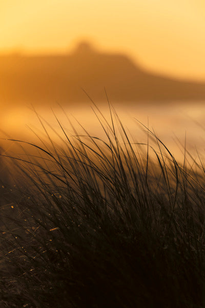 2772283 :: Coastal Morning