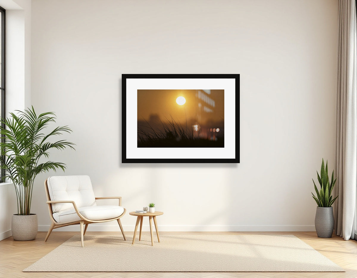 2772325 :: Sun Light