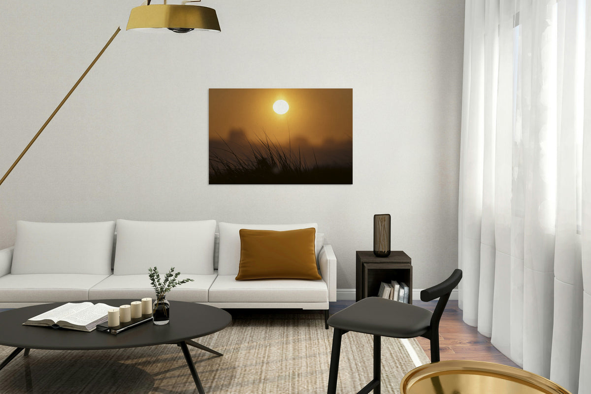 2772325 :: Sun Light