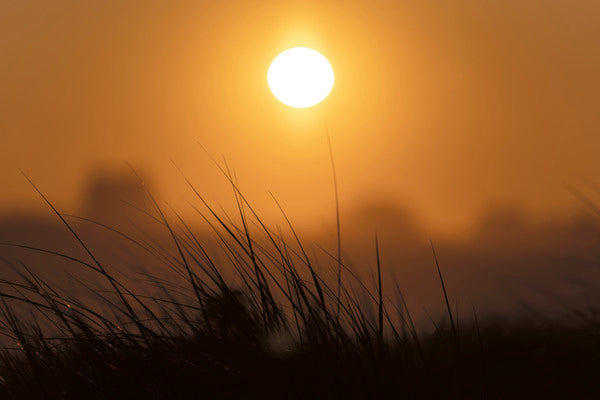 2772325 :: Sun Light