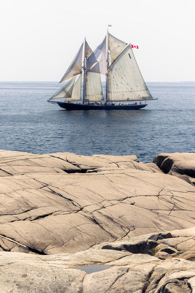 2772320 :: Sailing By
