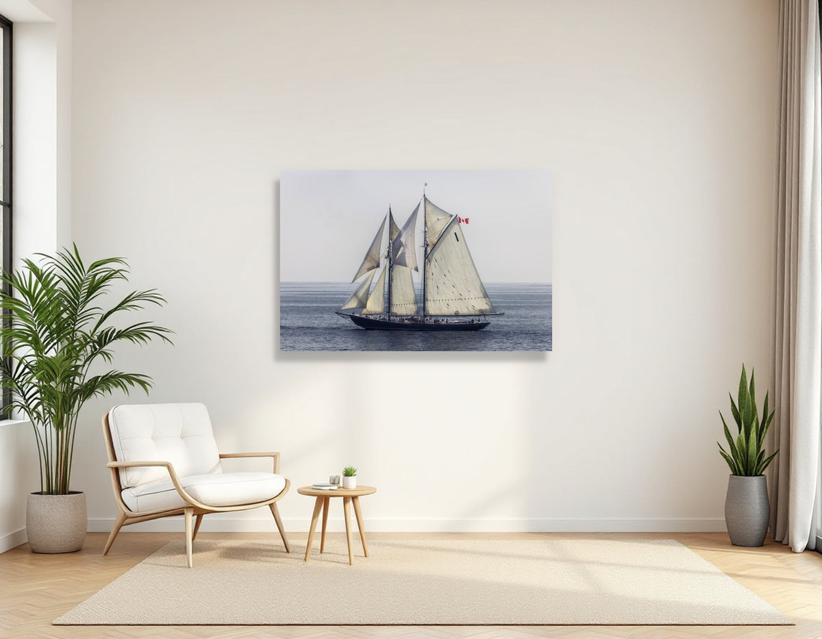 2772282 :: Bluenose II Under Full Sail