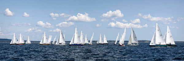 2773340 :: Chester Race Week 2026 Bluenose Class
