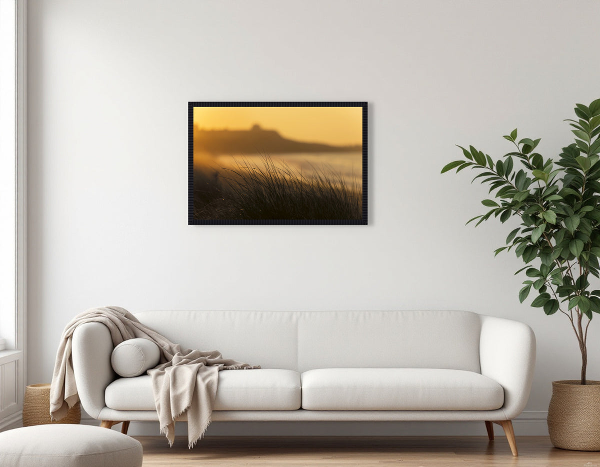 2772286 :: Beachgrass Dawn